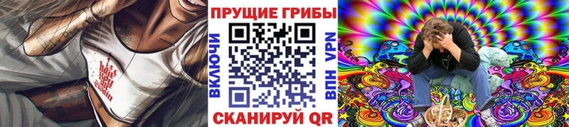 мега ССЫЛКА  магазин  наркотиков  Котельнич  Галлюциногенные грибы MAGIC MUSHROOMS 