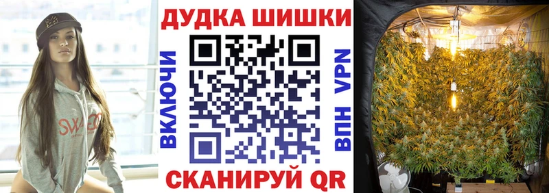 Шишки марихуана Bruce Banner  Котельнич 